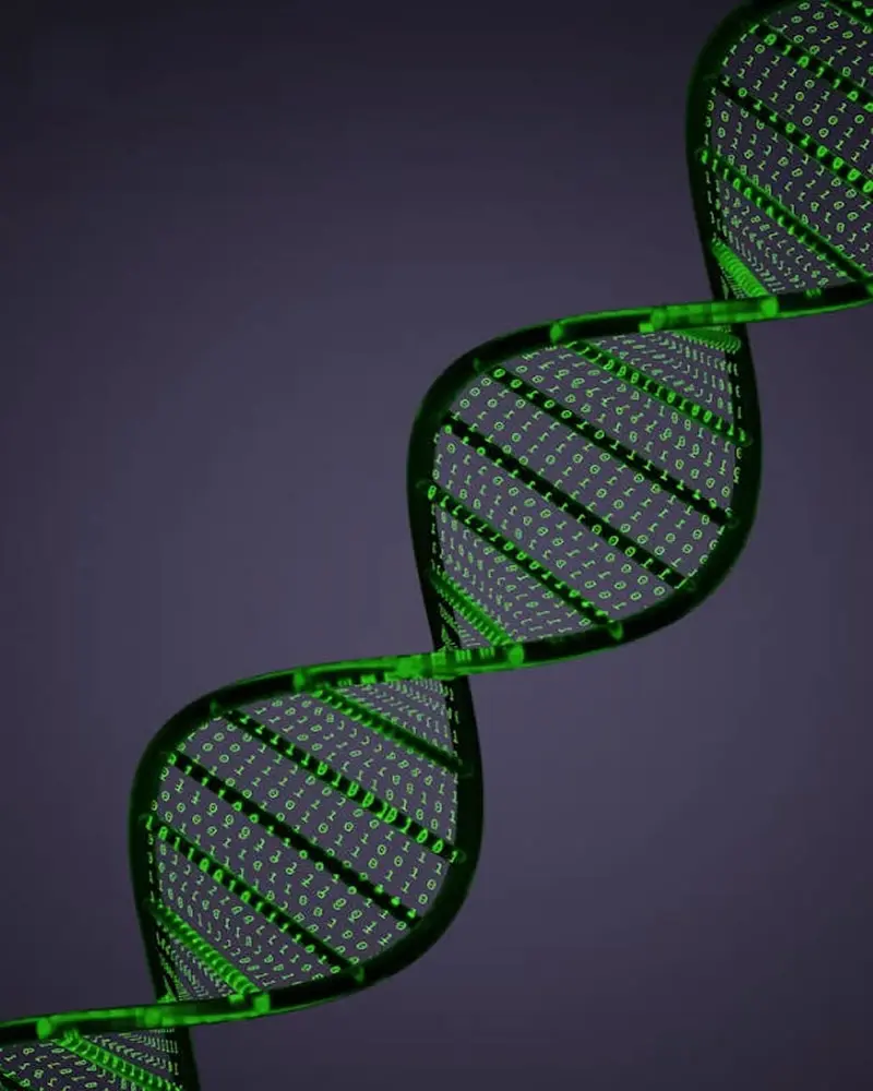 Life Science & Specialty Ingredients